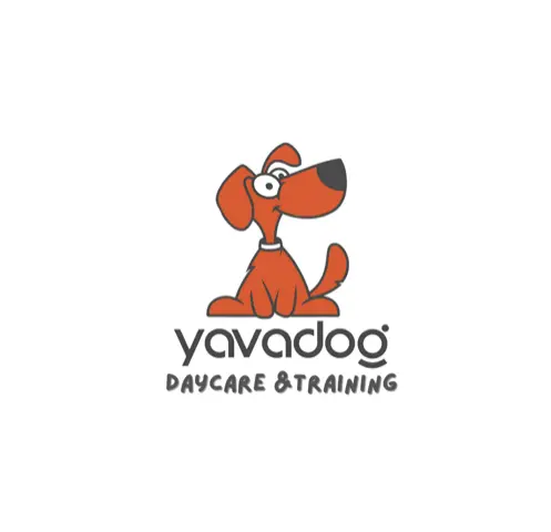 MG Performance Marketing